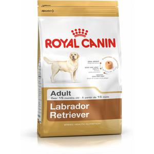 Emaga Karma Royal Canin Labrador Retriever Adult 12 kg Dorosy Ptaki 20-40 Kg - 2877983702