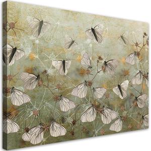 Emaga Obraz na ptnie, Abstrakcyjne motyle na ce - 100x70 - 2875452301