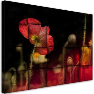 Emaga Obraz na ptnie, Czerwony kwiat maku - 120x80 - 2875452580