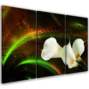 Emaga Obraz trzyczciowy na ptnie, White flower on brown background - 60x40 - 2875452951