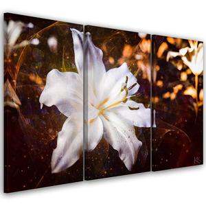 Emaga Obraz trzyczciowy na ptnie, Biaa lilia na brzowym tle - 60x40 - 2875452996