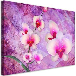 Emaga Obraz na ptnie, Orchidea Kwiaty Abstrakcja - 90x60 - 2875453015