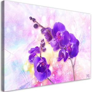 Emaga Obraz na ptnie, Fioletowy kwiat orchidei - 60x40 - 2875453033
