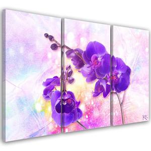 Emaga Obraz trzyczciowy na ptnie, Fioletowy kwiat orchidei - 90x60 - 2875453038