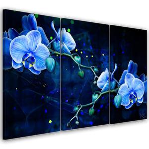 Emaga Obraz tryptyk na ptnie, Niebieski kwiat orchidei - 150x100 - 2875453100