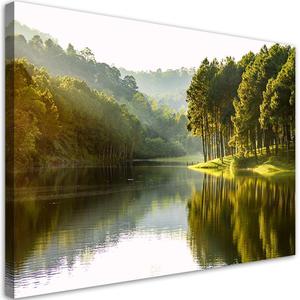 Emaga Obraz na ptnie, Krajobraz las drzewa natura - 60x40 - 2875453850