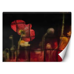 Emaga Fototapeta, Czerwone maki kwiaty - 250x175 - 2875455241