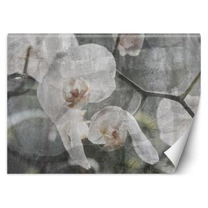 Emaga Fototapeta, Orchidea vintage - 250x175 - 2875456527