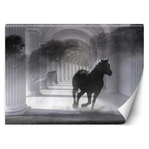 Emaga Fototapeta, Tunel biegncy ko efekt 3D - 200x140 - 2875456886