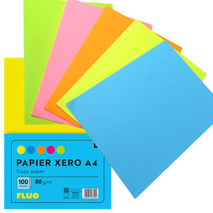 PAPIER KSERO A4 KOLOROWY 100 KARTEK 5 NEONOWYCH KOLORÓW INTERDRUK - 2873698804