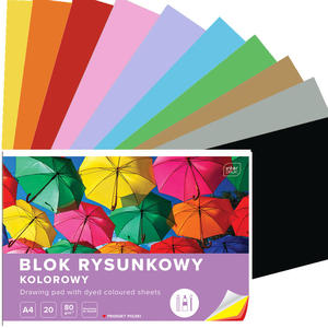 BLOK RYSUNKOWY KOLOROWY 20 KARTEK 10 KOLORÓW A4 80g Interdruk - 2873853444