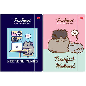 2 X TECZKA Z GUMKĄ A4 PUSHEEN UNIPAP, KAŻDA INNA - 2874502002