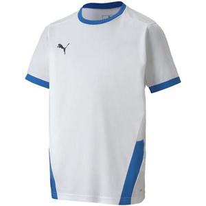 Koszulka Puma teamGOAL 23 Jersey Jr 704160 12 - 2876730137