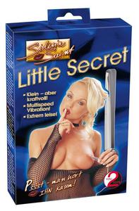 Silvia Saint Wibrator Little Secret - 2859299142
