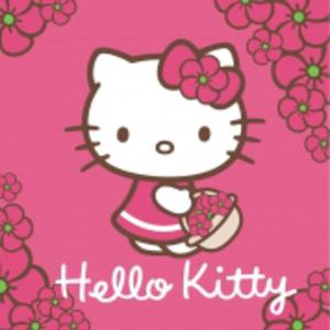 Rcznik Hello Kitty 30x30 HK01 4710 Detexpol magiczny