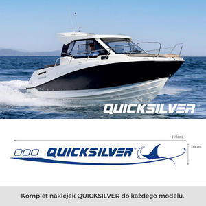 Naklejka na dk Quicksilver 2szt. naklejka na d - 2874847361