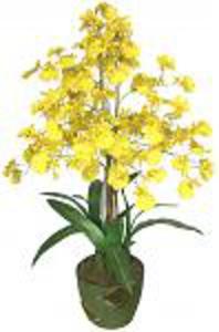 Orchidea 60cm Idealny prezent na ub - 2832980350