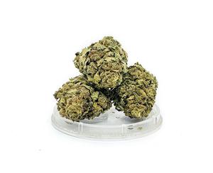 Susz konopny CBD, Kwiaty Konopi Sweet Melon 1g - 2858783616