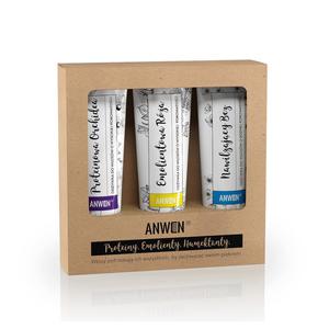 ANWEN - Zestaw Odywek do wosw o wysokiej prowatoci, 3x100ml - 2875024957