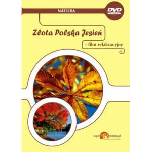 Zota Polska Jesie, - film relaksacyjny DVD - 2822818156
