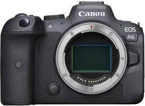 Canon EOS R6 + RF 24-105mm f/4-7.1 IS STM (z adapterem Canon: +550 z lub zamiennikiem: +300 z) - 2872458459