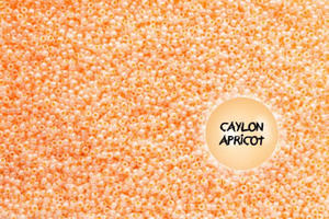 TR-08-904 Ceylon Apricot - 10g - 2822305155