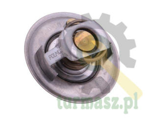 Termostat 6005012123 RENAULT POLMO - 2874467836