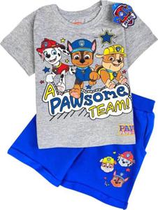 Komplet chopicy t- shirt spodenki Psi Patrol - 2869291931