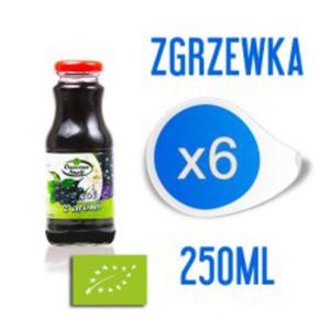 BIO SOK Z ARONII 100% 250 ml zgrzewka 6 szt Tocznia Owocowe Smaki - 2823875043