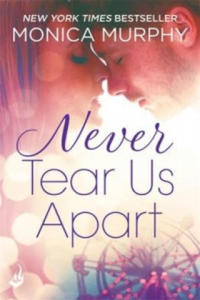 Never Tear Us Apart: Never Series 1 - 2878881046