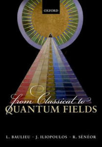 From Classical to Quantum Fields - 2843910983