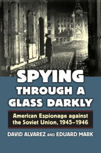 Spying through a Glass Darkly - 2877953514