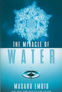 Miracle of Water - 2873778638