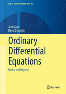 Ordinary Differential Equations: Basics and Beyond - 2877632288