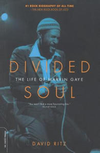 Divided Soul - 2861950867