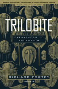 Trilobite - 2862620036