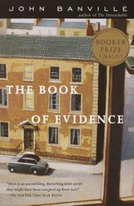The Book of Evidence - 2878629439