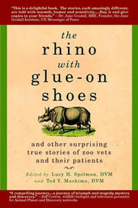 The Rhino With Glue-On Shoes - 2877176980
