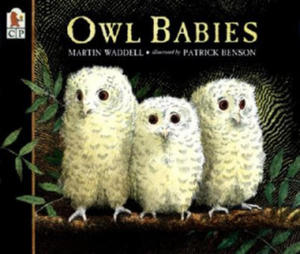 Owl Babies - 2865793025