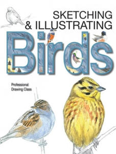 Sketching & Illustrating Birds - 2878073971