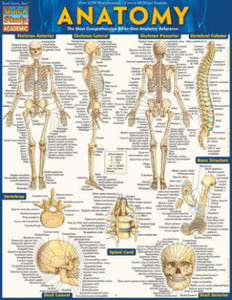 Anatomy Easel Book - 2877405612