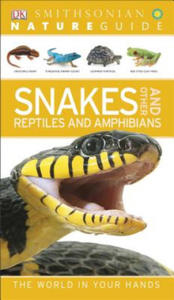 Snakes and Other Reptiles and Amphibians - 2873983076