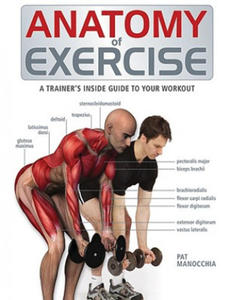 Anatomy of Exercise - 2873324658