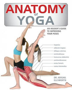 Anatomy of Yoga - 2878621607