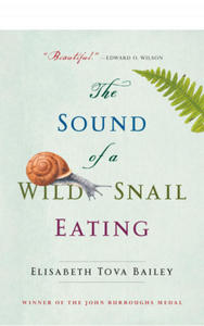 The Sound of a Wild Snail Eating - 2875667491