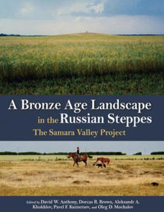 Bronze Age Landscape in the Russian Steppes - 2878800466