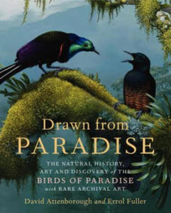 Drawn from Paradise: The Natural History, Art and Discovery of the Birds of Paradise with Rare Archival Art - 2878774183