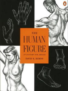 The Human Figure: An Anatomy for Artists - 2861981271