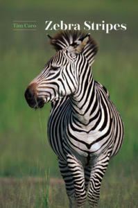 Zebra Stripes - 2867759146