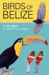 Birds of Belize - 2874168733